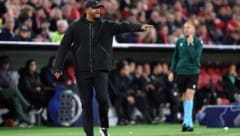 Bayern-Trainer Vincent Kompany