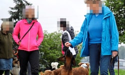 Unter Tierfreunden sorgt ein Gerücht für Aufregung: Ältere Menschen würden keine Tiere bekommen.