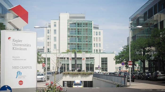 Das Kepler Universitätsklinikum in Linz war ausgelastet, ebenso Spitäler in Wels, St. Pölten und ...