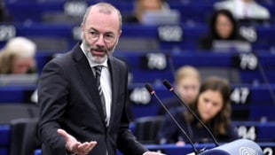 Der EVP-Parteivorsitzende Manfred Weber sprach mit der „Krone“ über Migration und den Kreml.