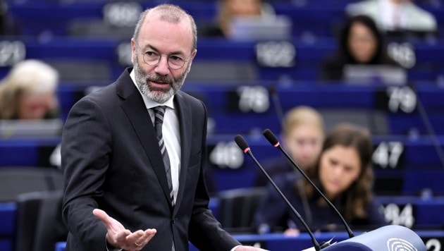 Der EVP-Parteivorsitzende Manfred Weber sprach mit der „Krone“ über Migration und den Kreml.