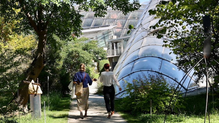 Auf einer Fläche von rund 2,8 Hektar – exklusive Gewächshausfläche – wachsen etwa 7500 ...