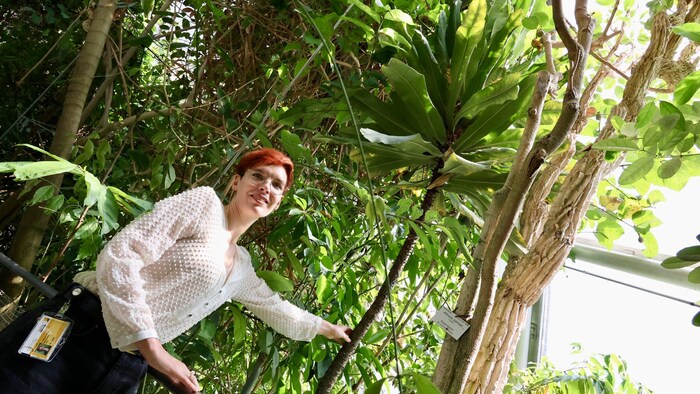 Die Schweizerin hat in Graz neue Wurzeln geschlagen.