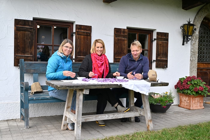 Nach dem konzentrierten Arbeiten am Feld geht es ans „Blüten-Zupfen“: Carina, Monika und Leo ...