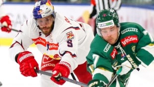 Thomas Raffl (li.) und die Bulls treffen auf den HC Pustertal.