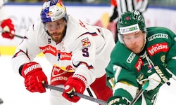 Thomas Raffl (li.) und die Bulls treffen auf den HC Pustertal.