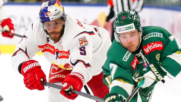 Thomas Raffl (li.) und die Bulls treffen auf den HC Pustertal.