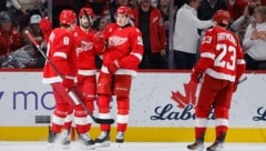 Jubel bei den Red Wings