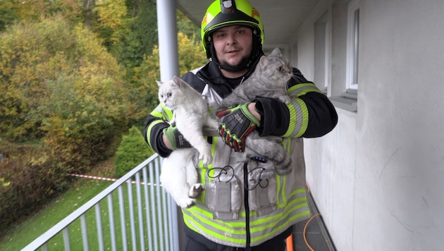 Feuerwehrmann mit zwei der geretteten Katzen.