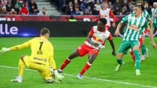 Tröster Andreas Niklas Hedl machte in dieser Saison nicht immer eine gute Figur.