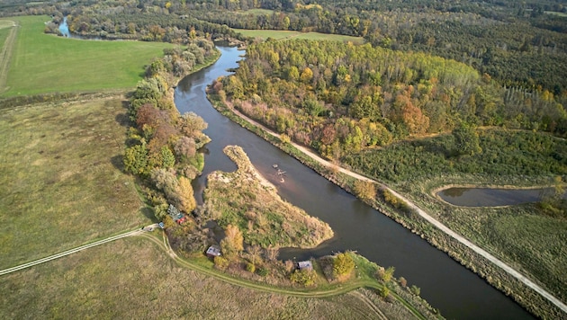 In ein Korsett gezwängt: Die Thaya wird im nordöstlichsten Teil Österreichs in Kooperation mit ...