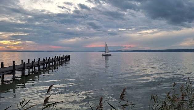 Das „Meer der Wiener“ in Weiden am See – atemberaubend schön.
