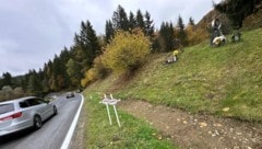 Jeder Verkehrstote ist einer zuviel.