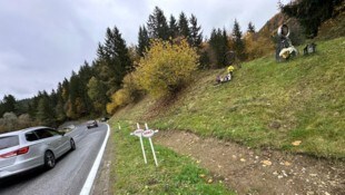 Das ganze Jahr über erinnern an dieser Straße in Kärnten die Marterln an tödlich Verunglückte, ...