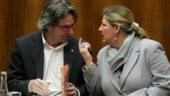 Aus der heimischen Politik kamen zahlreiche Reaktionen zum Tod von Andrea Kdolsky, hier als ...