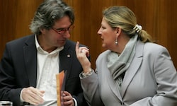 Aus der heimischen Politik kamen zahlreiche Reaktionen zum Tod von Andrea Kdolsky, hier als ...