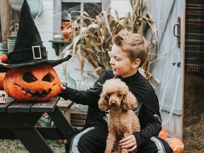 Für unsere Tiere muss Halloween nicht verkleidet sein, um Freude zu bereiten.