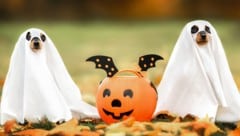 Buh! Oder doch eher: Hilfe?!