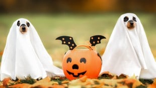 Buh! Oder doch eher: Hilfe?!