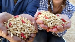 Cyber-Kriminelle locken derzeit mit „extrem günstigen Preisen“ für Holzpellets.