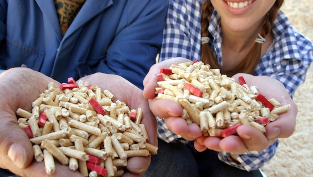 Cyber-Kriminelle locken derzeit mit „extrem günstigen Preisen“ für Holzpellets.