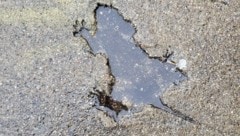 Täuschend ähnlich, aber „Splatatouille“ war gar kein Nager aus der Kanalisation. 