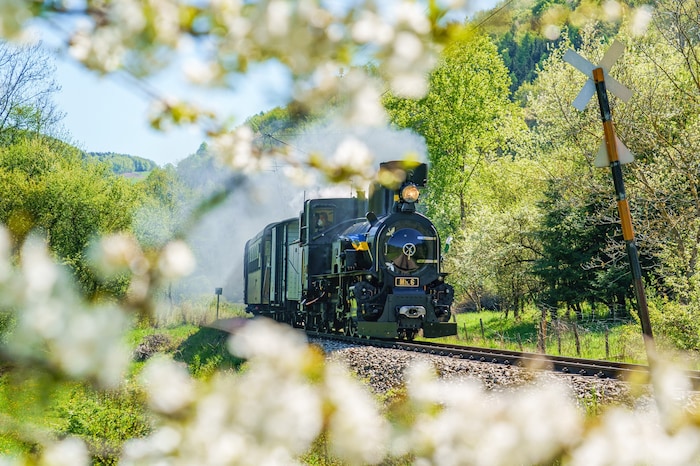 Von St. Pölten führt die Mariazellerbahn klimafreundlich durchs Pielachtal bis ins ...