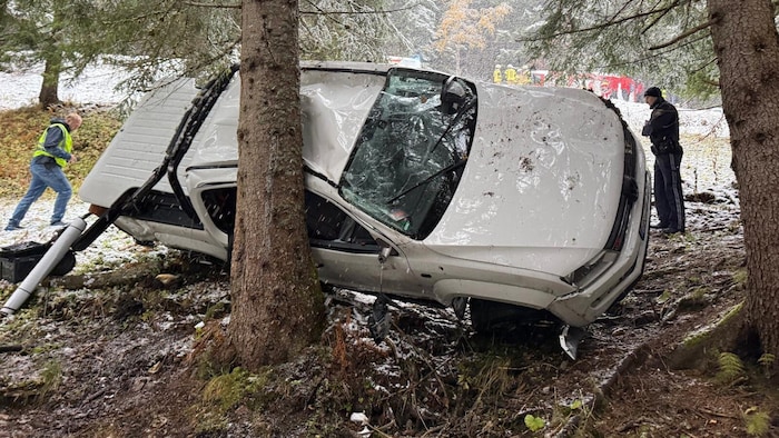 Nach dem Absturz blieb der Wagen hängen.