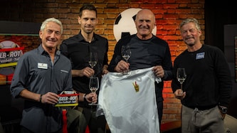 Moderator Hannes Steiner, Kurier-Sportjournalist Andreas Heidenreich sowie die beiden Experten ...