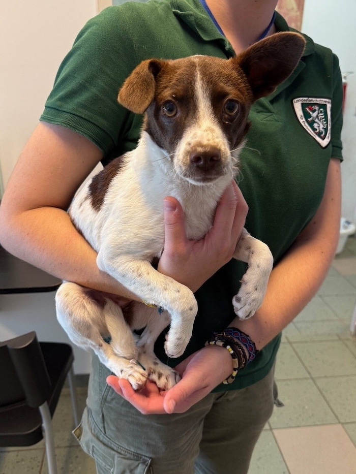 Snickers erhofft sich Geduld