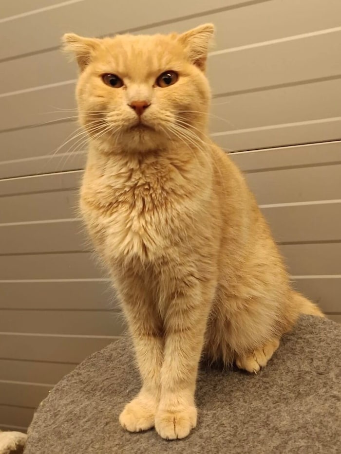 Caramel hat alles verloren