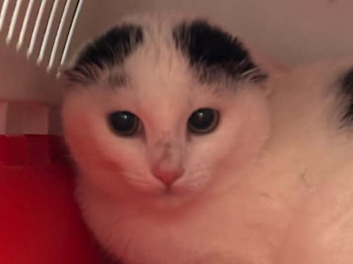 Ich brauche bitte etwas Geduld