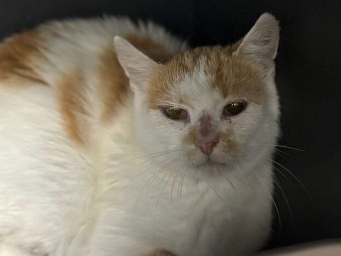 Gerti fühlt sich im Heim sehr verloren