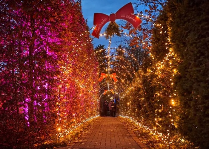 Viel Arbeit und Herzblut steckt in diesem Lichterweg.