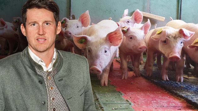 Josef Kaiser ist Obmann der Erzeugergemeinschaft Styriabrid.