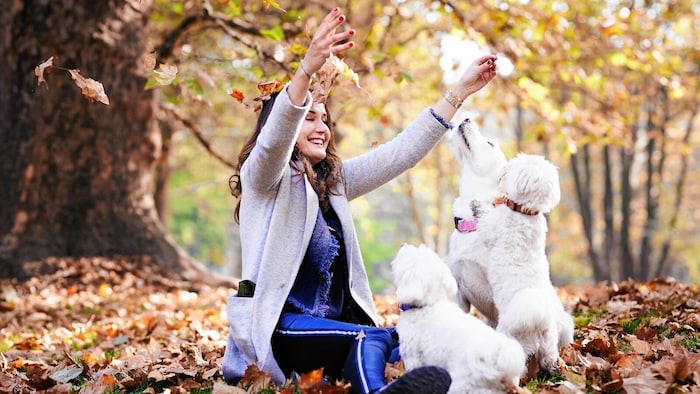 Maggie Entenfellner appelliert an Hundehalter: „Der Hund muss abrufbar sein, auch wenn ein Hase ...