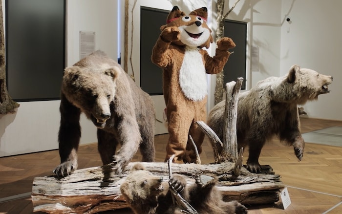 Bei einem Besuch unseres Lesepasspartners, dem kärnten.museum, erfährst du viele spannende ...