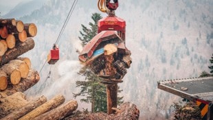 Beim Umladen von Baumstämmen kam es in Schwendau zu einem Zwischenfall (Symbolbild). 