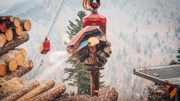 Beim Umladen von Baumstämmen kam es in Schwendau zu einem Zwischenfall (Symbolbild). 