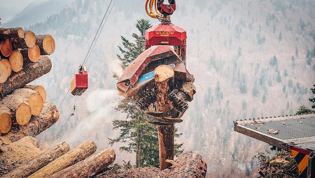 Beim Umladen von Baumstämmen kam es in Schwendau zu einem Zwischenfall (Symbolbild).