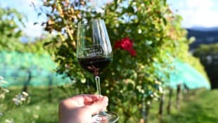 Der Kärntner Jahrgang von 2025 brachte eine Rekordernte – und er wird hervorragend schmecken. Im ...