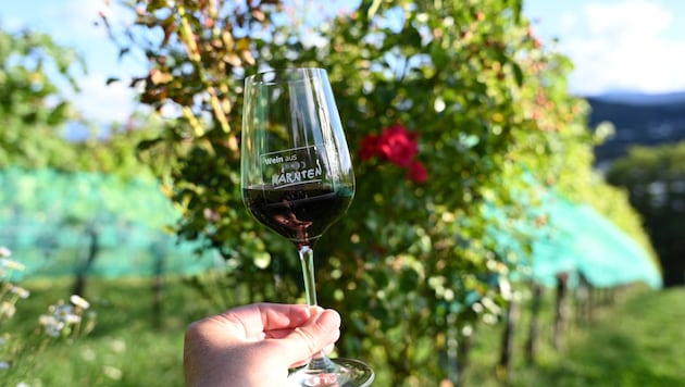 Der Kärntner Jahrgang von 2025 brachte eine Rekordernte – und er wird hervorragend schmecken. Im ...