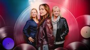 Das Trio Infernale im berührenden Austropop-Film „Bis auf Weiteres unsterblich“: Katharina ...
