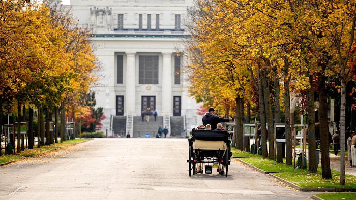 Das Areal des Zentralfriedhofs kann man auch per Fiaker, E-Bus oder mit dem Fahrrad erkunden.