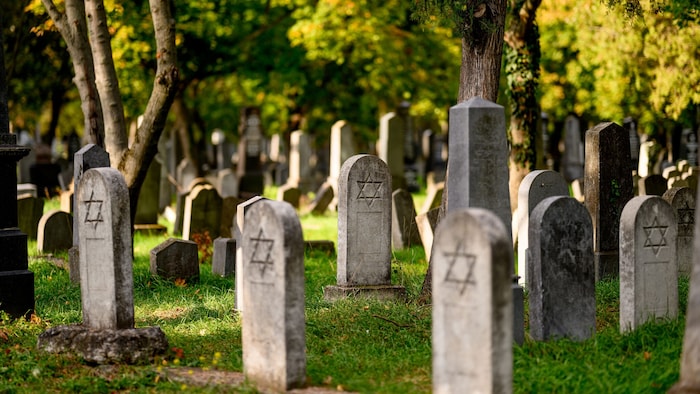 Auf dem rund 260.000 Quadratmeter großen Areal herrscht eine besondere Stimmung.Auf dem rund ...