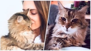 Zwei Jahrzehnte bedingungslose Liebe. Danke, dass du mein Leben so unendlich bereichert hast, ...