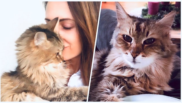 Zwei Jahrzehnte bedingungslose Liebe. Danke, dass du mein Leben so unendlich bereichert hast, ...