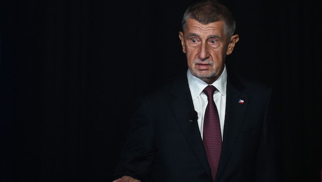 Der tschechische Unternehmer und Politiker Babiš gilt als der zweitreichste Bürger des Landes.