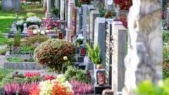 Die Zeit vor Allerheiligen nutzen viele Menschen, um die Gräber ihrer lieben Verstorbenen zu ...