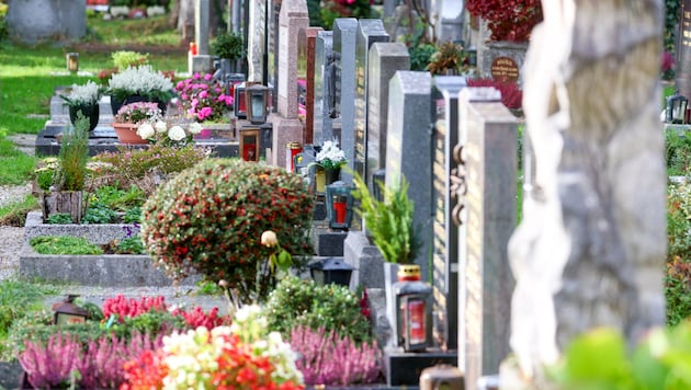 Die Zeit vor Allerheiligen nutzen viele Menschen, um die Gräber ihrer lieben Verstorbenen zu ...